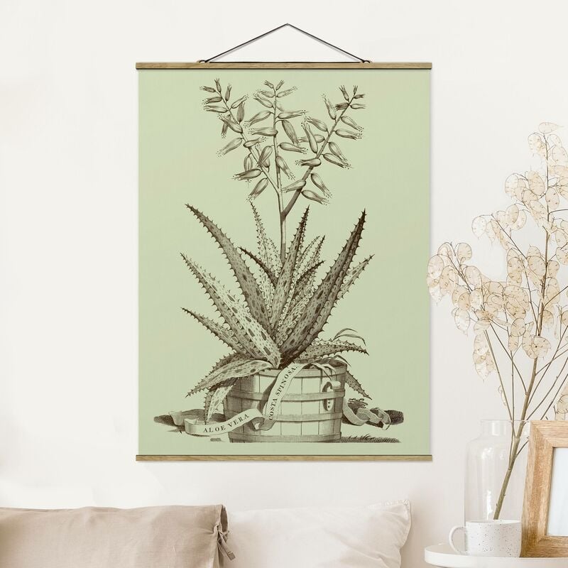 

Imagen de tela - Vintage Aloe Vera Costa Spinosa - Alto 4:3 Dimensión LxA: 66.4cm x 50cm