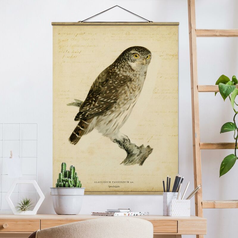 

Imagen de tela - Vintage Drawing Sperlingskauz - Alto 4:3 Dimensión LxA: 106.5cm x 80cm
