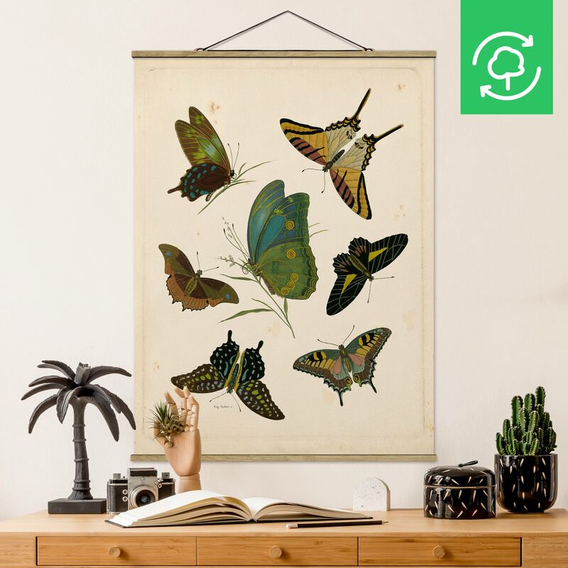 

Imagen de tela - Vintage Illustration Exotic Butterflies - Alto 4:3 Dimensión LxA: 66.4cm x 50cm