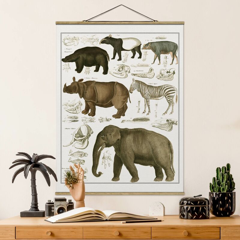 

Imagen de tela - Vintage Board Elephant, Zebra And Rhino - Alto 4:3 Dimensión LxA: 106.5cm x 80cm