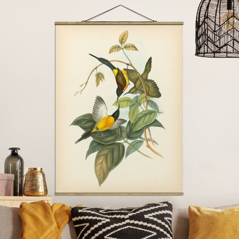 

Imagen de tela - Vintage Illustration Tropical Birds IV - Alto 4:3 Dimensión LxA: 66.4cm x 50cm