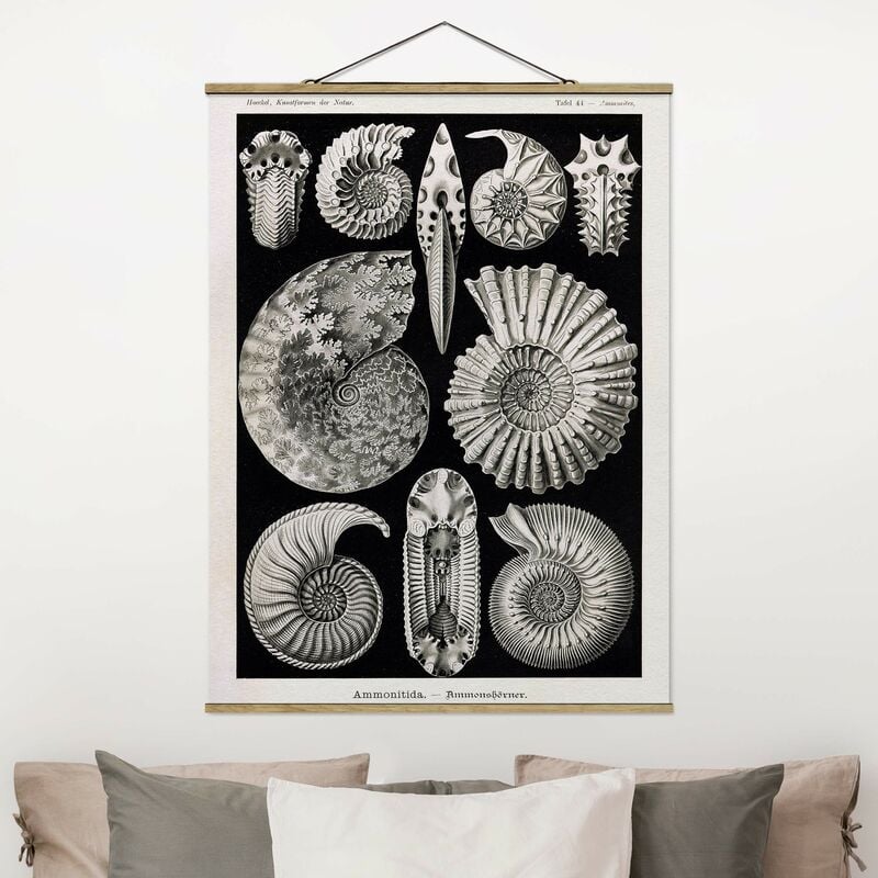 

Imagen de tela - Vintage Board Fossils Black And White - Alto 4:3 Dimensión LxA: 106.5cm x 80cm