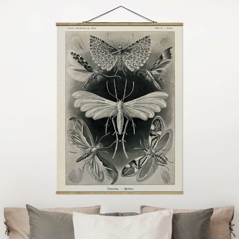 

Imagen de tela - Vintage Board Moths And Butterflies - Alto 4:3 Dimensión LxA: 66.4cm x 50cm