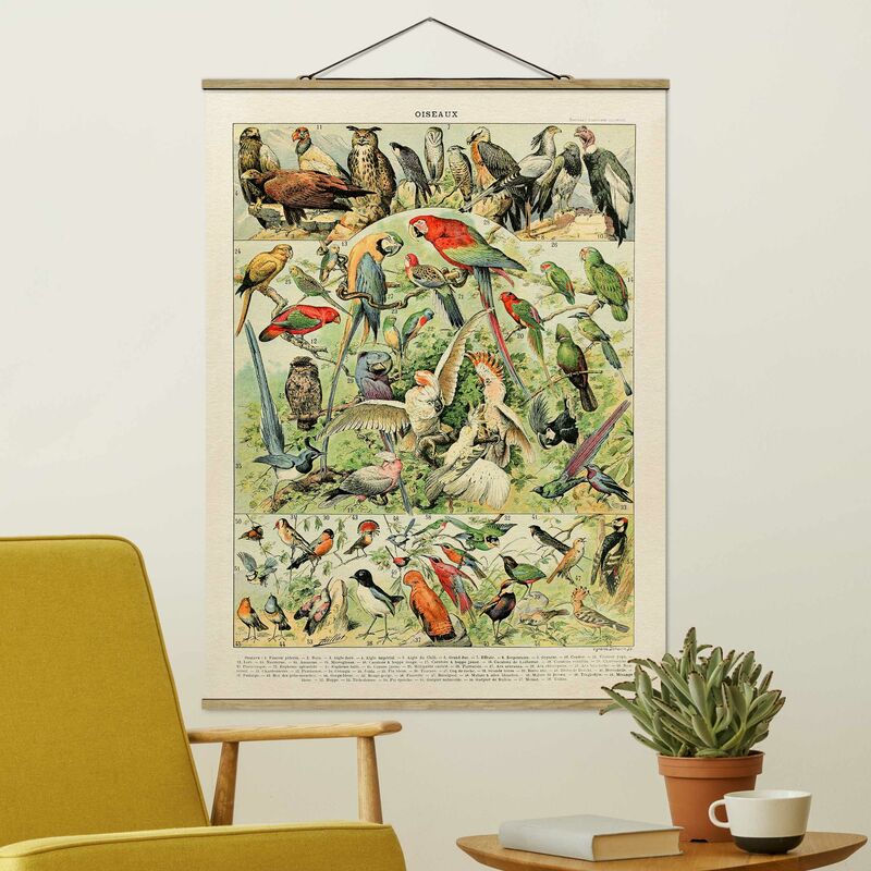 

Imagen de tela - Vintage Board Birds - Alto 4:3 Dimensión LxA: 46.5cm x 35cm