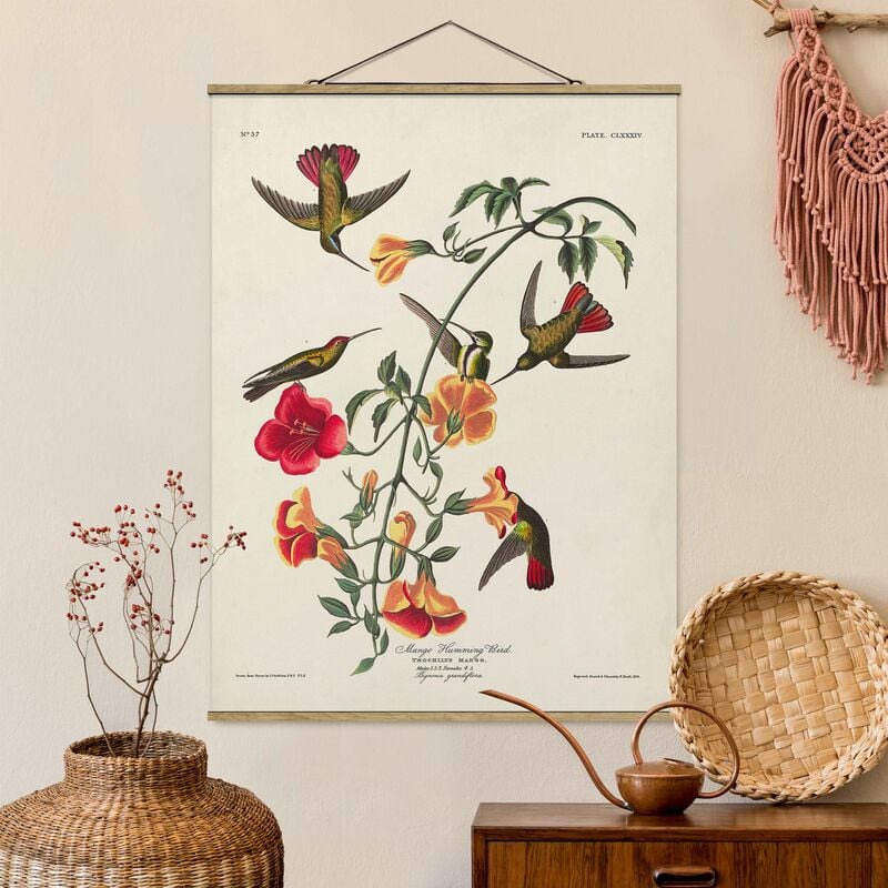 

Imagen de tela - Vintage Board Mango Hummingbirds - Alto 4:3 Dimensión LxA: 133.5cm x 100cm