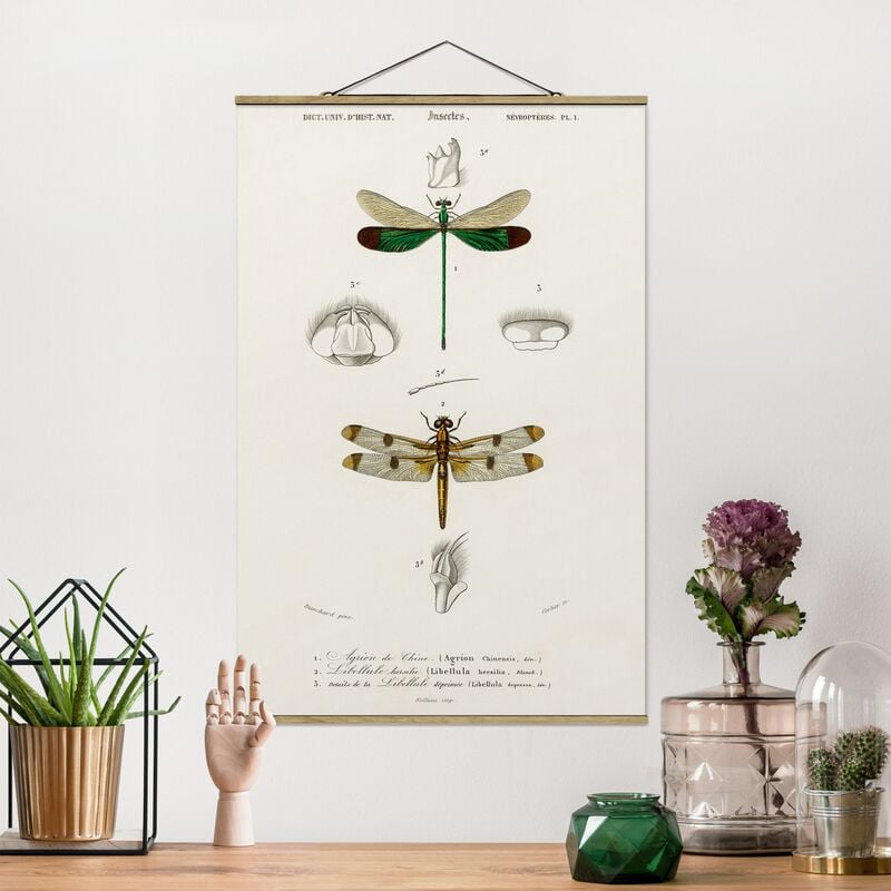 

Imagen de tela - Vintage Board Dragonflies - Alto 3:2 Dimensión LxA: 150cm x 100cm