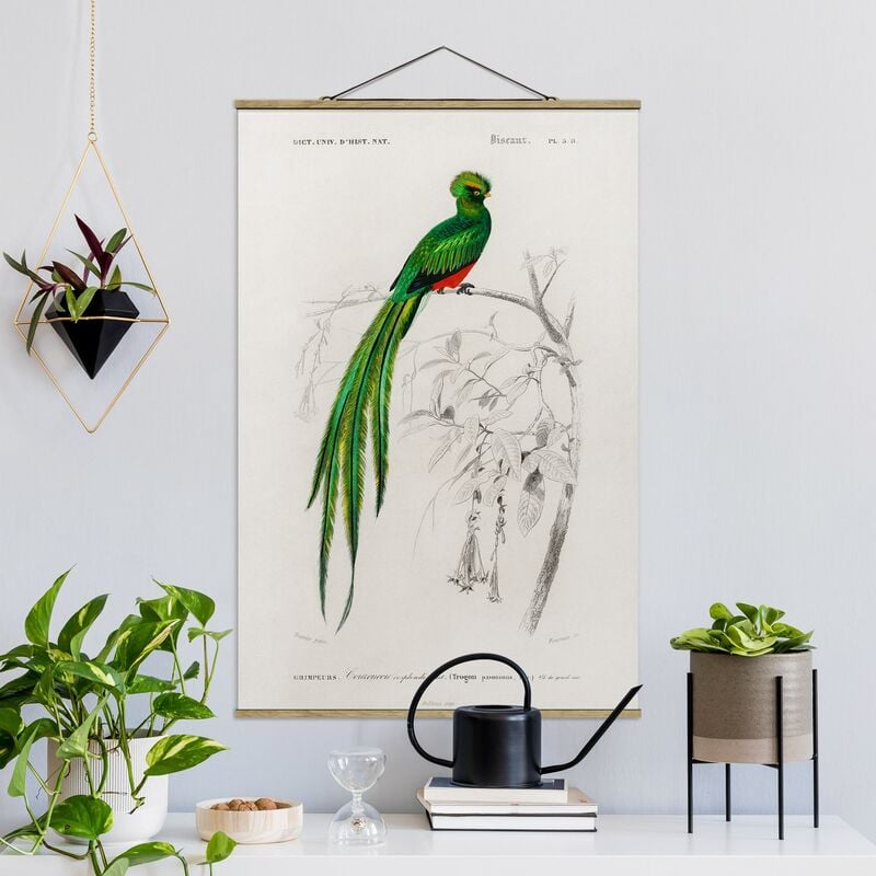 

Imagen de tela - Vintage Board Tropical Bird I - Alto 3:2 Dimensión LxA: 75cm x 50cm