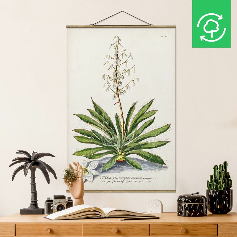 

Imagen de tela - Vintage Botanical Illustration Yucca - Alto 3:2 Dimensión LxA: 75cm x 50cm