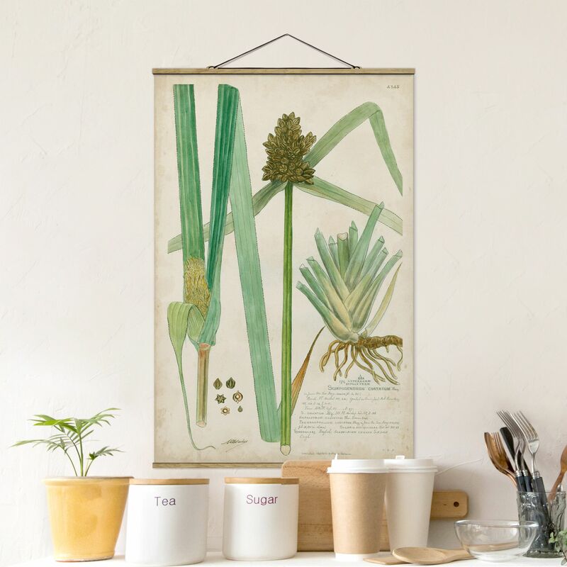 

Imagen de tela - Vintage Botany Drawing Grasses III - Alto 3:2 Dimensión LxA: 75cm x 50cm