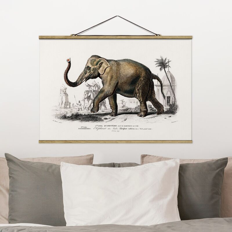 

Imagen de tela - Vintage Board Elephant - Apaisado 2:3 Dimensión LxA: 66.5cm x 100cm