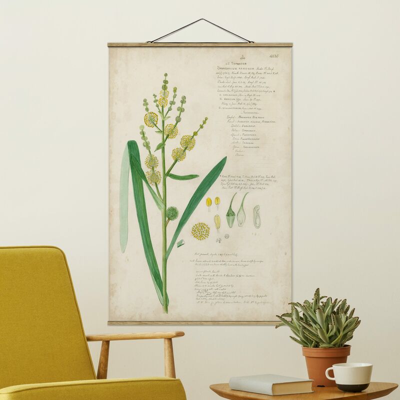 

Imagen de tela - Vintage Botany Drawing Grasses IV - Alto 3:2 Dimensión LxA: 120cm x 80cm