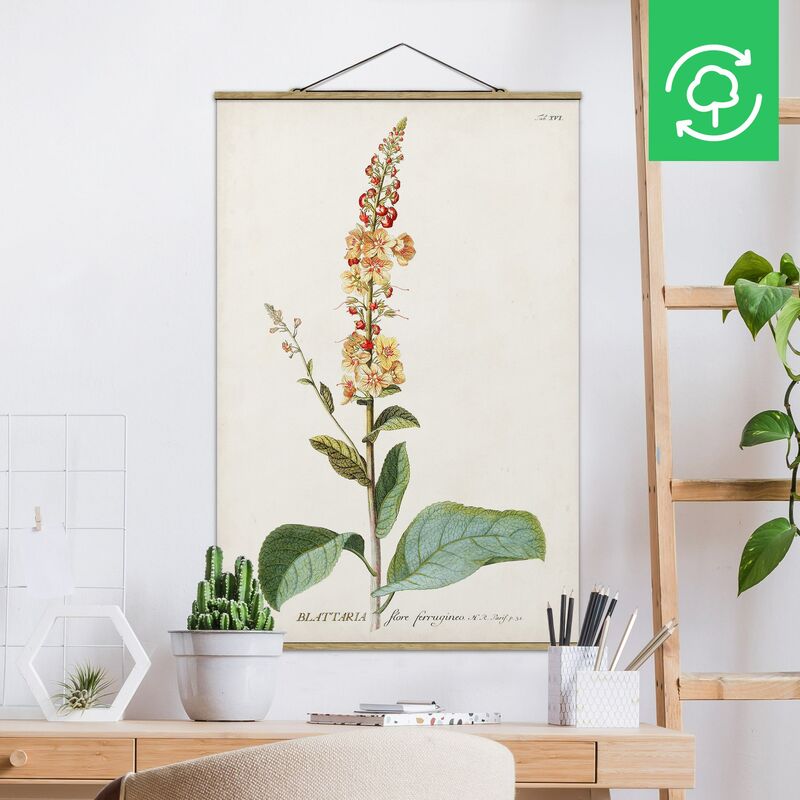 

Imagen de tela - Vintage Botanical Illustration Mullein - Alto 3:2 Dimensión LxA: 120cm x 80cm