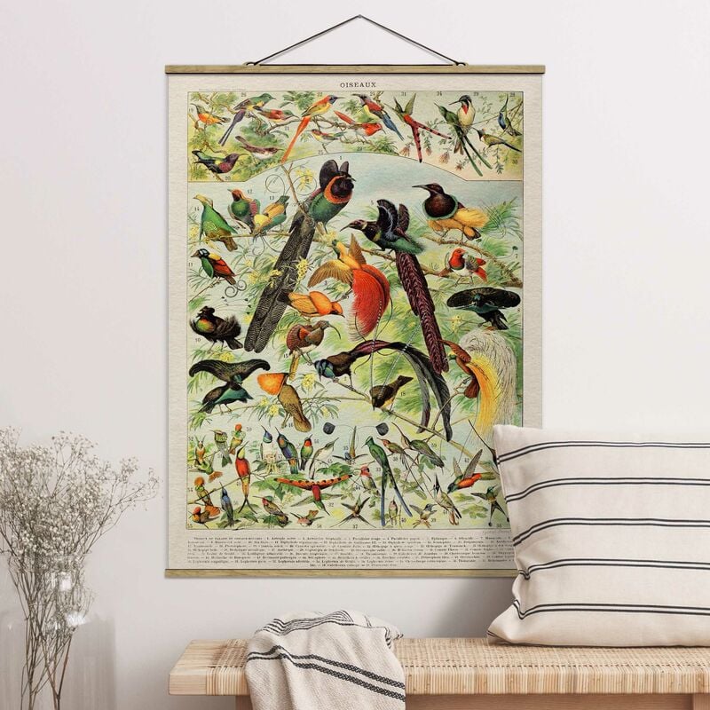 

Imagen de tela - Vintage Board Birds Of Paradise - Alto 4:3 Dimensión LxA: 46.5cm x 35cm