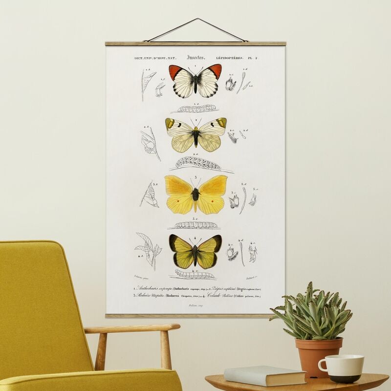 

Imagen de tela - Vintage Board Butterflies II - Alto 3:2 Dimensión LxA: 120cm x 80cm