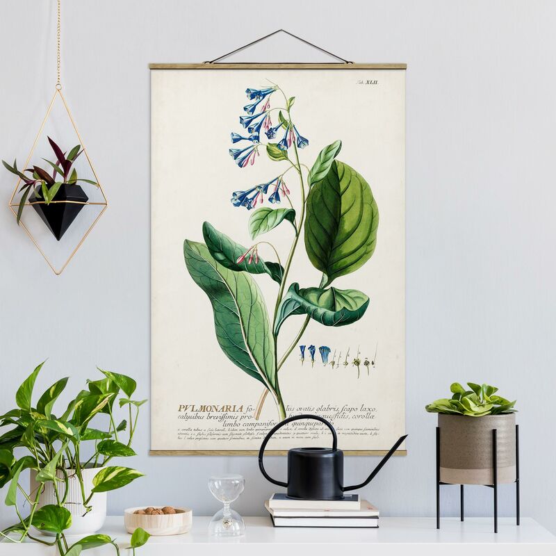 

Imagen de tela - Vintage Botanical Illustration Lungwort - Alto 3:2 Dimensión LxA: 75cm x 50cm