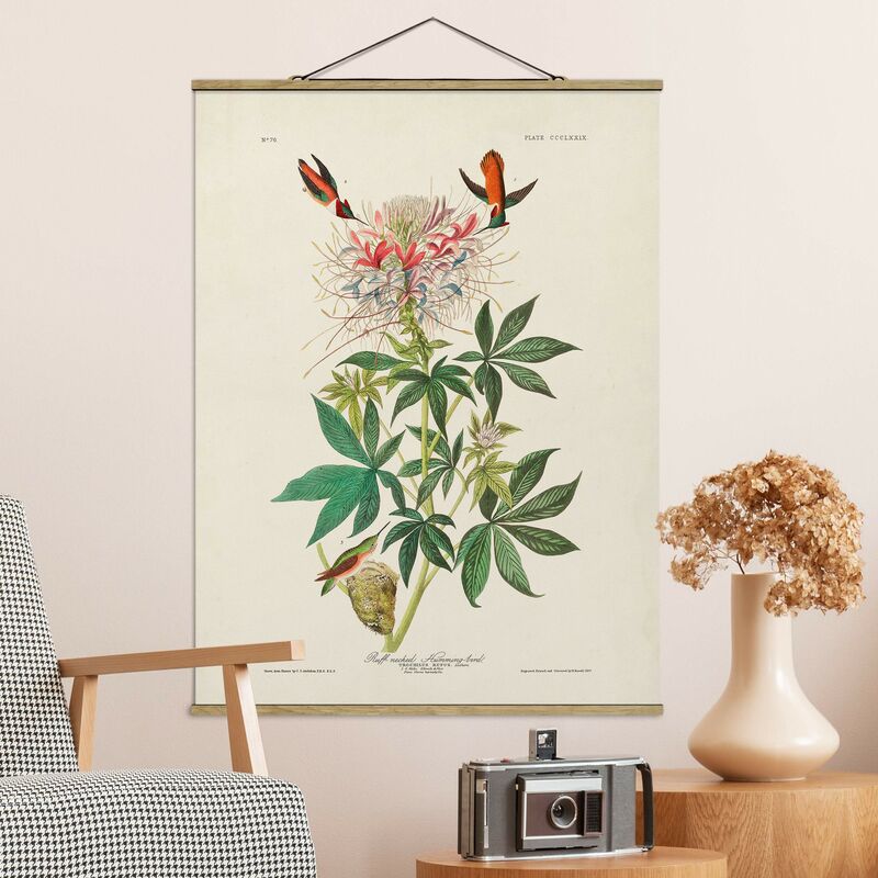 

Bilderwelten - Imagen de tela - Vintage Board Allenkolibris - Alto 4:3 Dimensión LxA: 46.5cm x 35cm