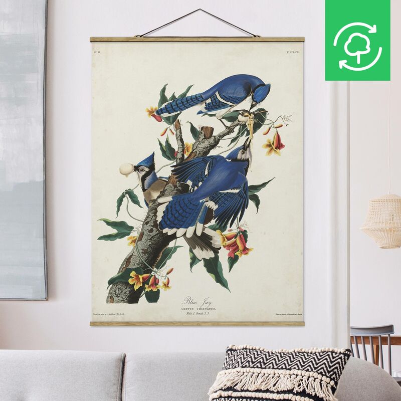 

Imagen de tela - Vintage Board Blue Jays - Alto 4:3 Dimensión LxA: 46.5cm x 35cm