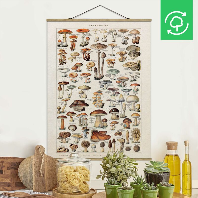 

Imagen de tela - Vintage Board Mushrooms - Alto 4:3 Dimensión LxA: 133.5cm x 100cm