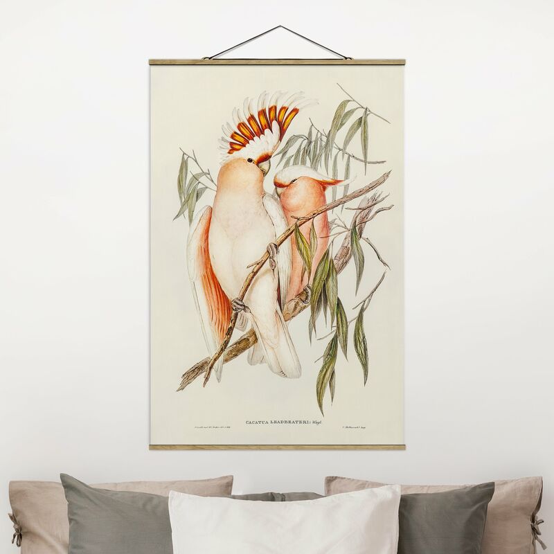 

Bilderwelten - Imagen de tela - Vintage Illustration Galah - Alto 3:2 Dimensión LxA: 52.5cm x 35cm