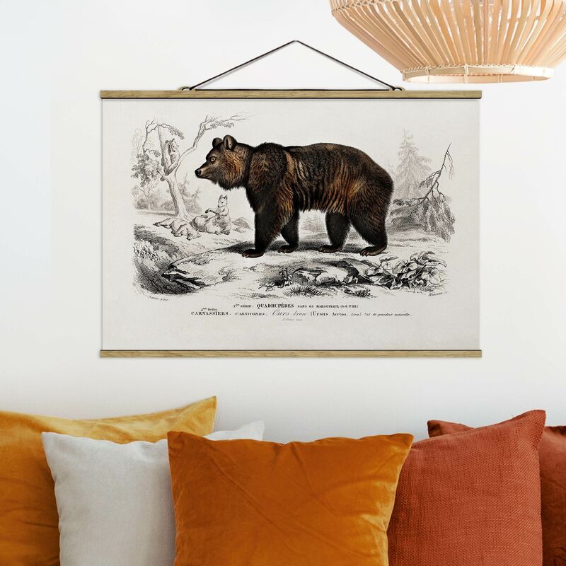 

Imagen de tela - Vintage Board Brown Bear - Apaisado 2:3 Dimensión LxA: 53.5cm x 80cm