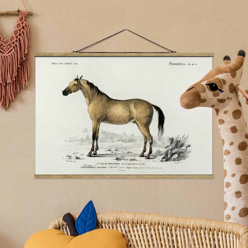 

Imagen de tela - Vintage Board Horse - Apaisado 2:3 Dimensión LxA: 33.5cm x 50cm