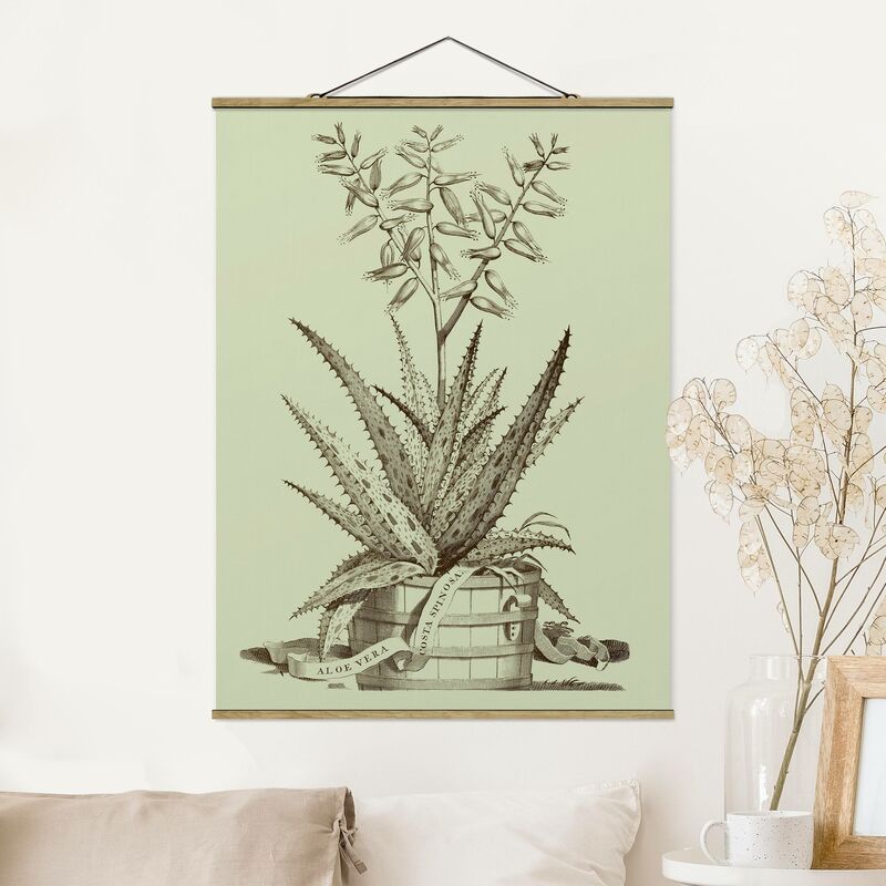 

Bilderwelten - Imagen de tela - Vintage Aloe Vera Costa Spinosa - Alto 4:3 Dimensión LxA: 46.5cm x 35cm