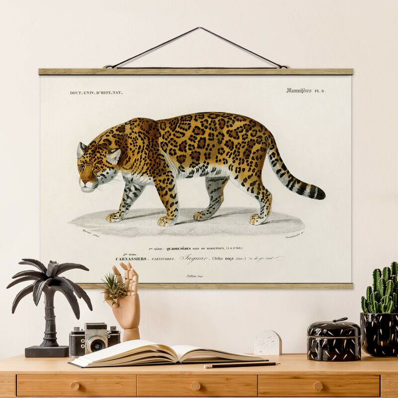 

Imagen de tela - Vintage Board Jaguar - Apaisado 2:3 Dimensión LxA: 66.5cm x 100cm