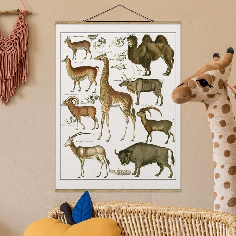 

Imagen de tela - Vintage Board Giraffe, Camel And Llama - Alto 4:3 Dimensión LxA: 133.5cm x 100cm