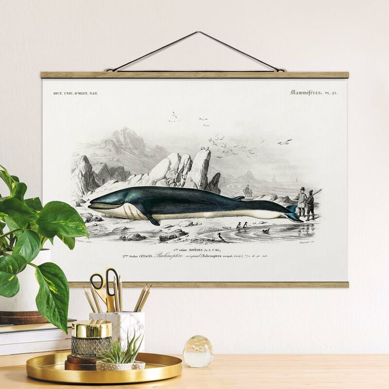 

Imagen de tela - Vintage Board Blue Whale - Apaisado 2:3 Dimensión LxA: 66.5cm x 100cm