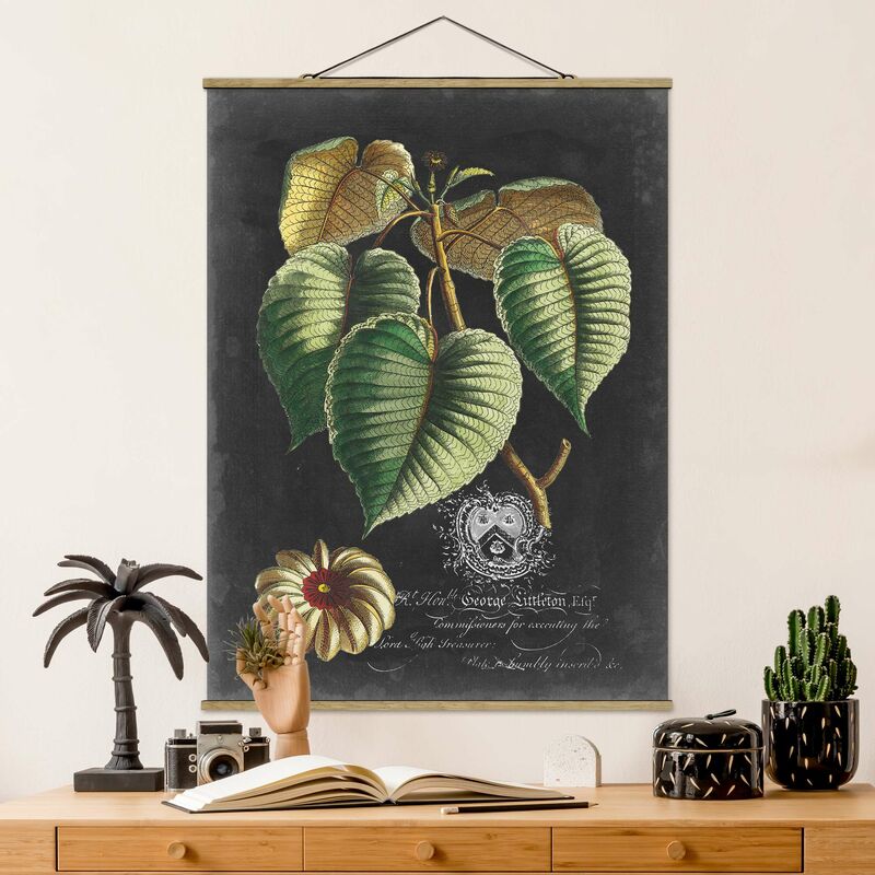 

Imagen de tela - Vintage Royales Foliage On Black I - Alto 4:3 Dimensión LxA: 66.4cm x 50cm