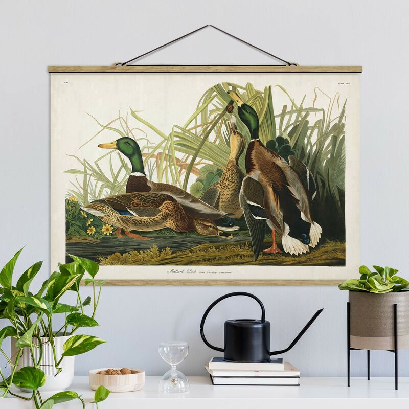 

Imagen de tela - Vintage Teaching Pochard - Apaisado 2:3 Dimensión LxA: 23.5cm x 35cm