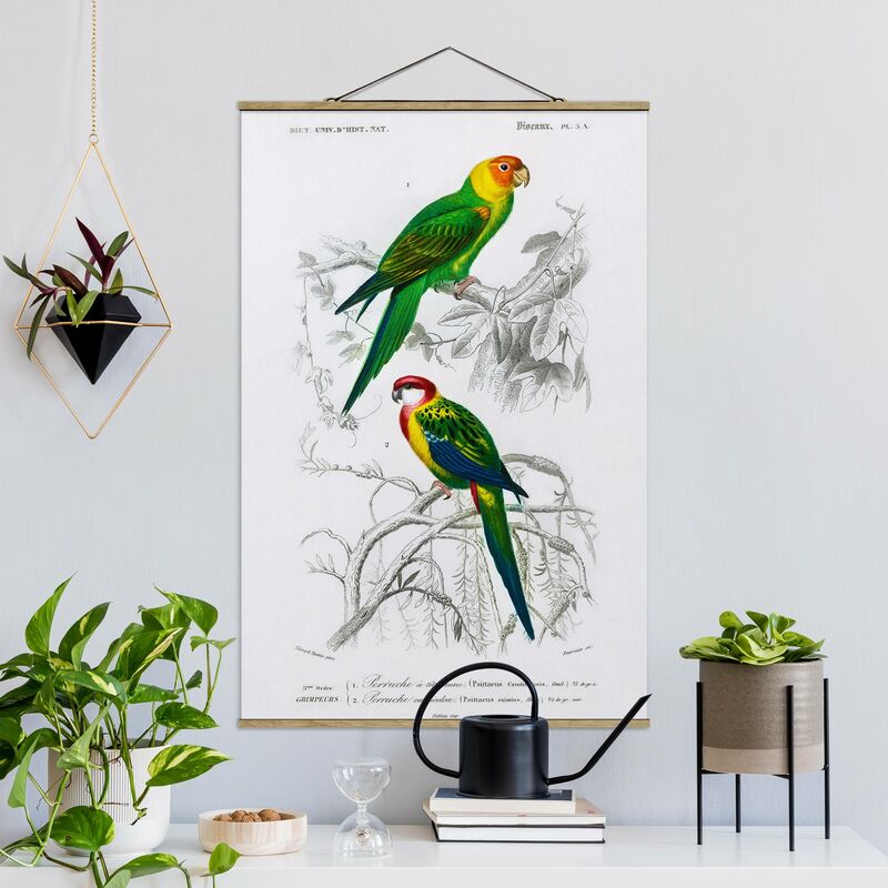 

Imagen de tela - Vintage Wall Chart Two Parrots Green Red - Alto 3:2 Dimensión LxA: 75cm x 50cm