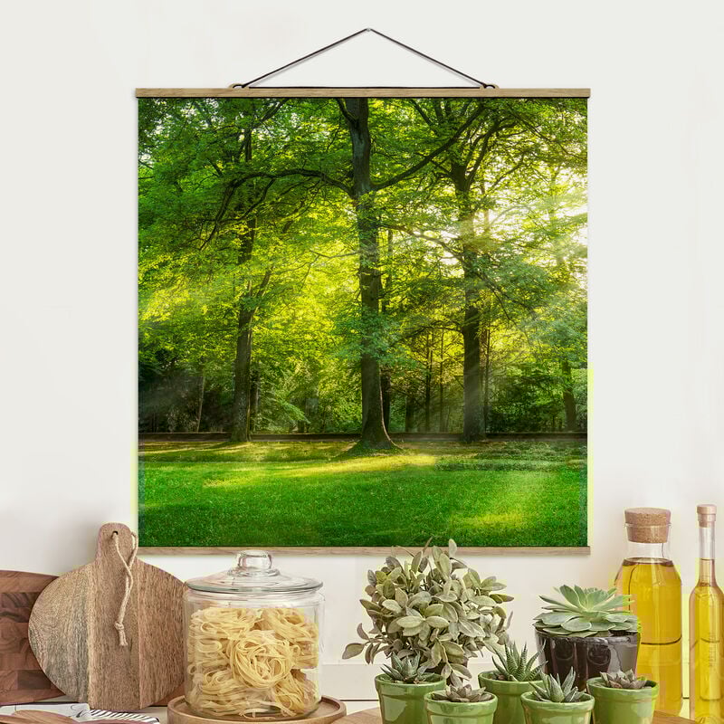 

Imagen de tela - Walk In The Woods - Cuadrado 1:1 Dimensión LxA: 100cm x 100cm