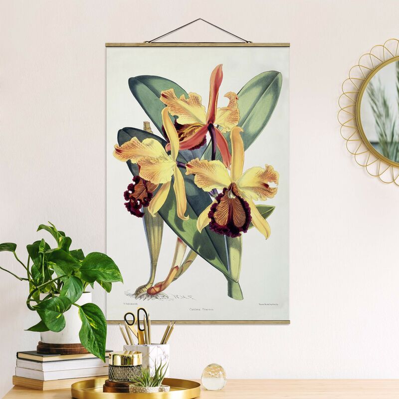 

Imagen de tela - Walter Hood Fitch - Orchid - Alto 3:2 Dimensión LxA: 120cm x 80cm