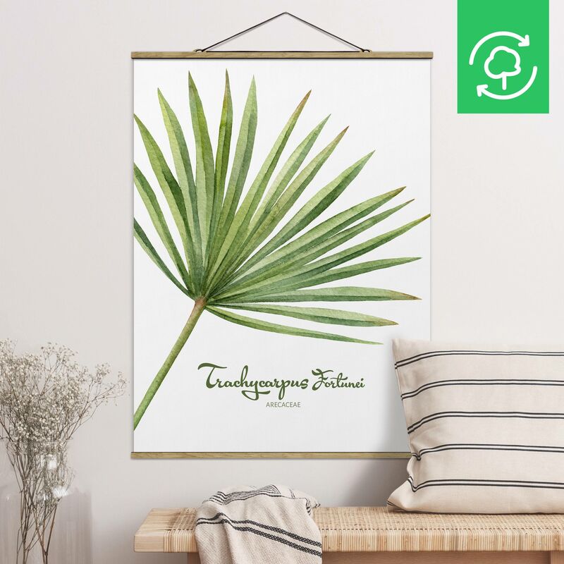 

Imagen de tela - Watercolor Botany Trachycarpus Fortunei - Alto 4:3 Dimensión LxA: 66.4cm x 50cm