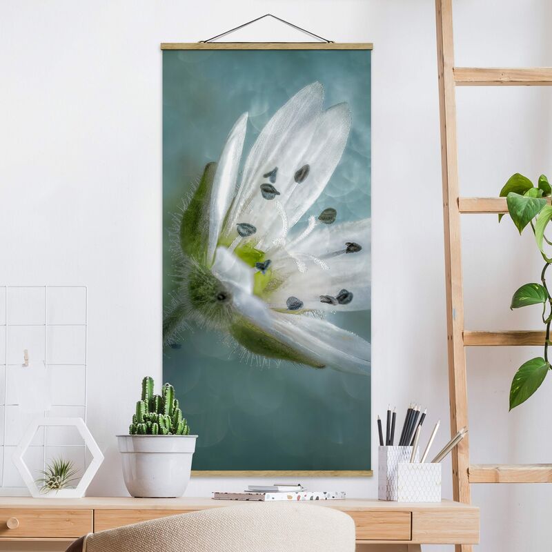

Imagen de tela - White Blossom On Blue - Alto 2:1 Dimensión LxA: 100cm x 50cm