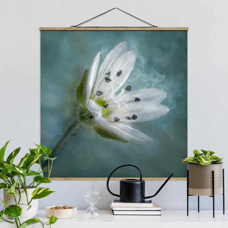 

Imagen de tela - White Blossom On Blue - Cuadrado 1:1 Dimensión LxA: 50cm x 50cm