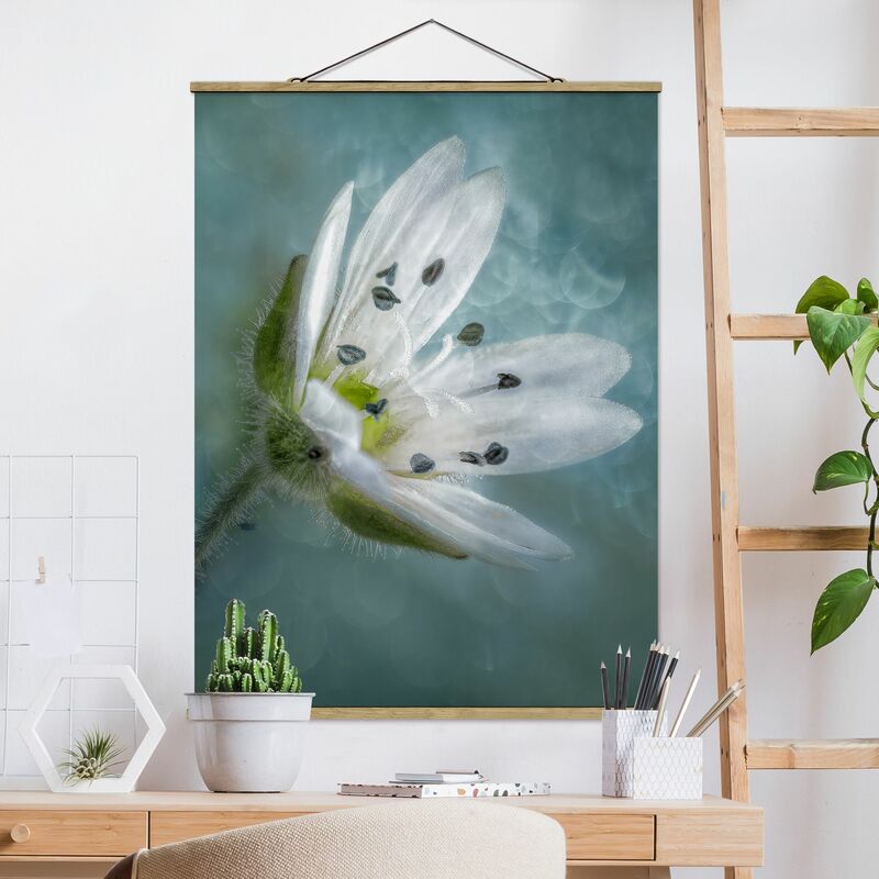 

Imagen de tela - White Blossom On Blue - Alto 4:3 Dimensión LxA: 133.5cm x 100cm