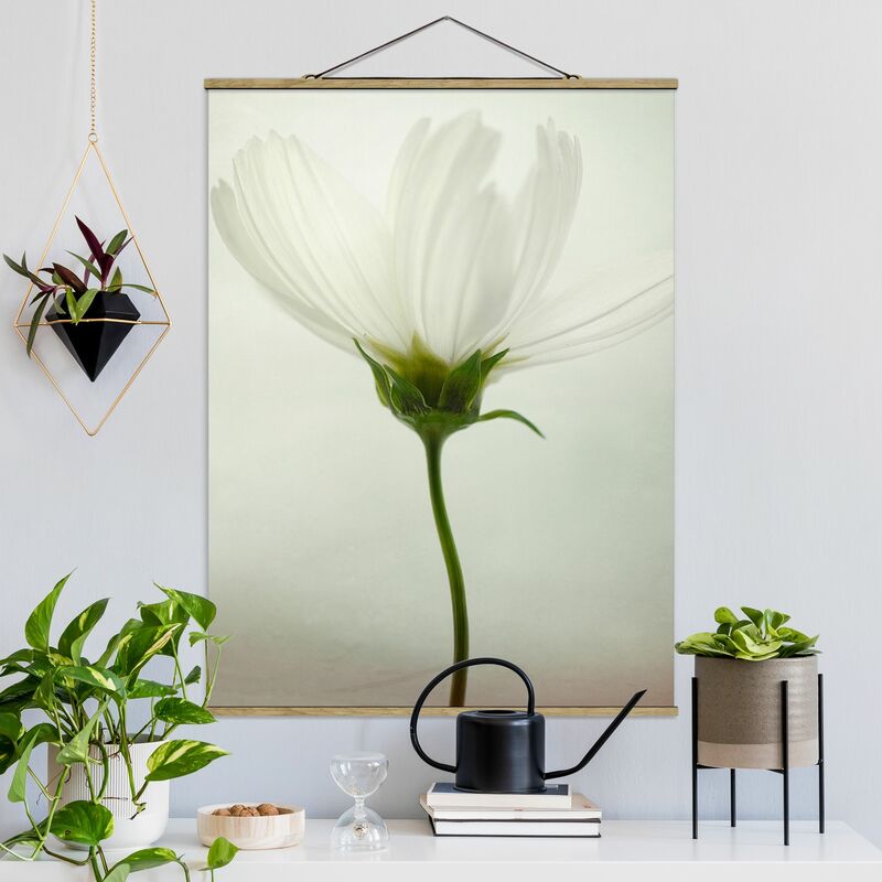 

Imagen de tela - White Cosmea - Alto 4:3 Dimensión LxA: 66.4cm x 50cm