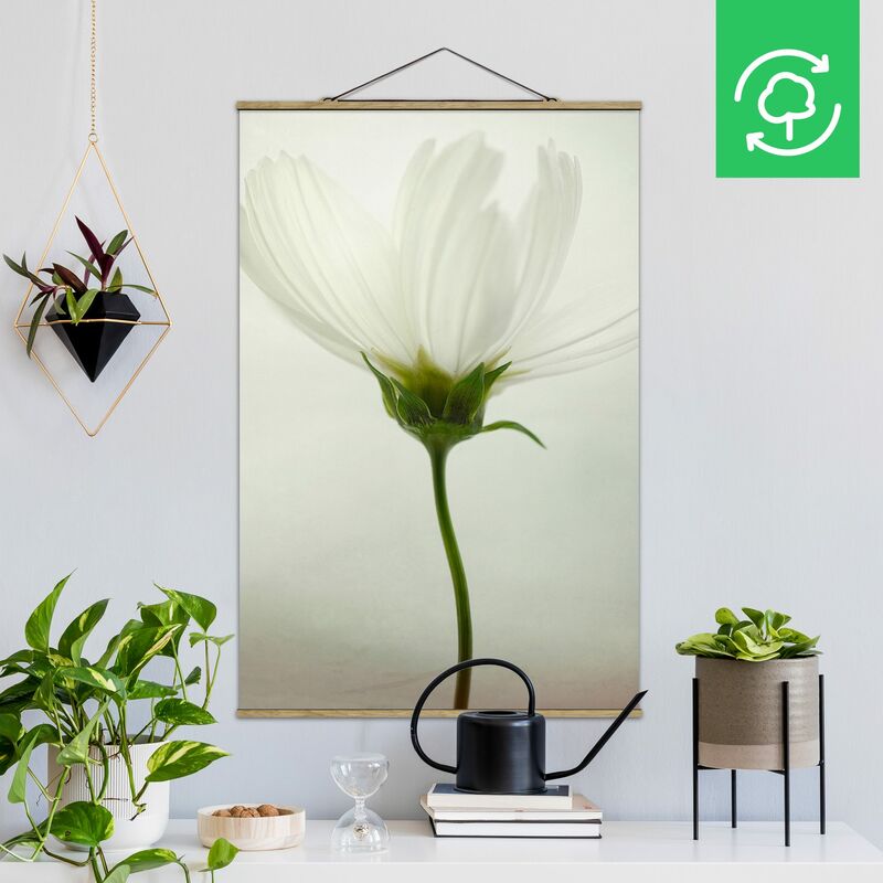 

Imagen de tela - White Cosmea - Alto 3:2 Dimensión LxA: 75cm x 50cm