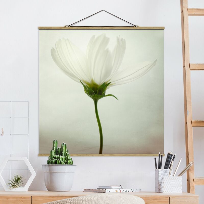 

Imagen de tela - White Cosmea - Cuadrado 1:1 Dimensión LxA: 50cm x 50cm
