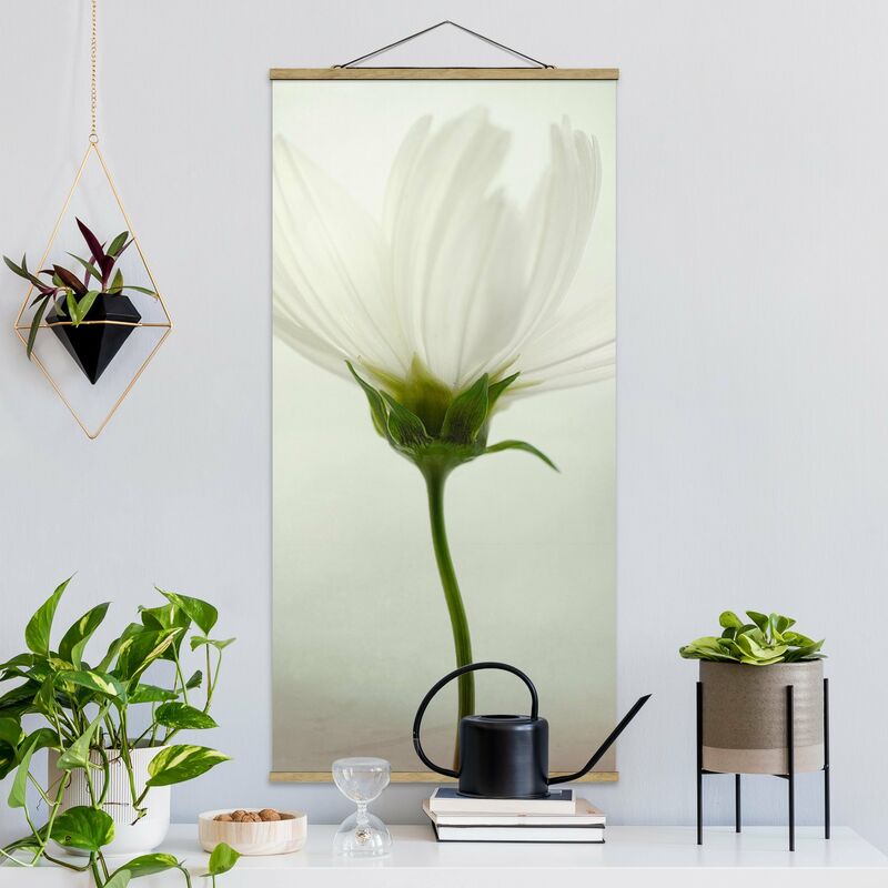 

Bilderwelten - Imagen de tela - White Cosmea - Alto 2:1 Dimensión LxA: 70cm x 35cm