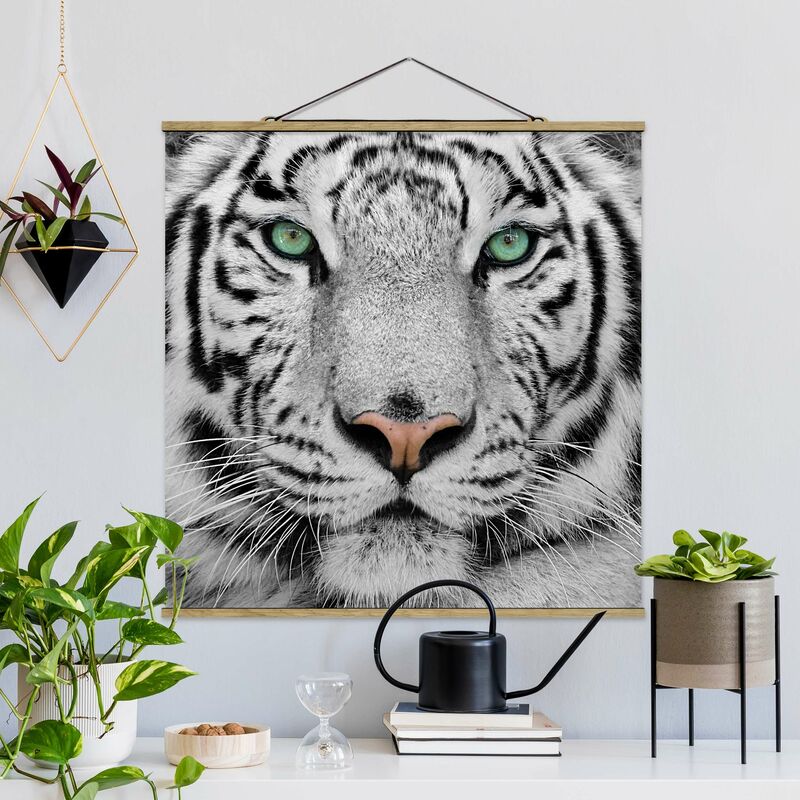 

Imagen de tela - White Tiger - Cuadrado 1:1 Dimensión LxA: 80cm x 80cm
