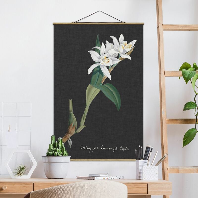 

Imagen de tela - White Orchid On Linen II - Alto 3:2 Dimensión LxA: 75cm x 50cm