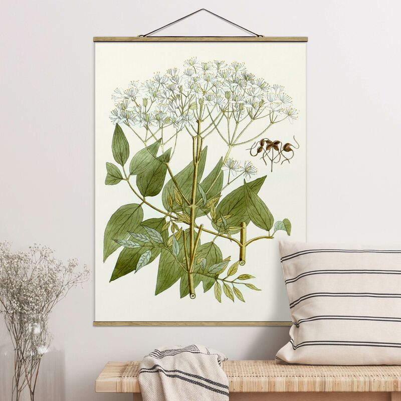 

Imagen de tela - Wild Herbs Board V - Alto 4:3 Dimensión LxA: 133.5cm x 100cm