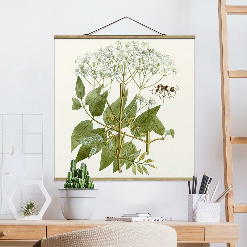 

Imagen de tela - Wild Herbs Board V - Cuadrado 1:1 Dimensión LxA: 100cm x 100cm