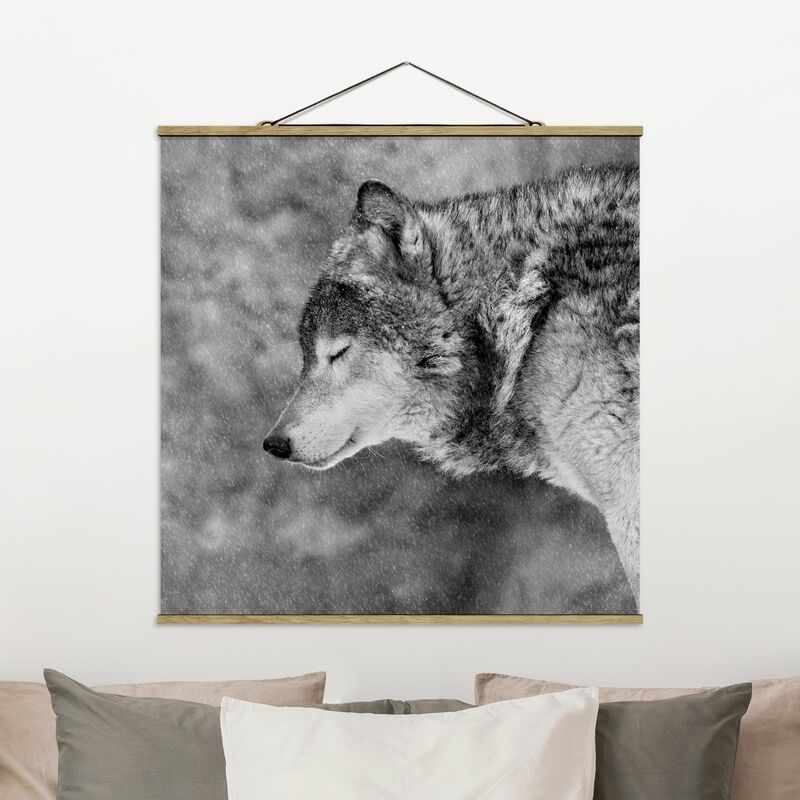 

Imagen de tela - Winter Wolf - Cuadrado 1:1 Dimensión LxA: 35cm x 35cm