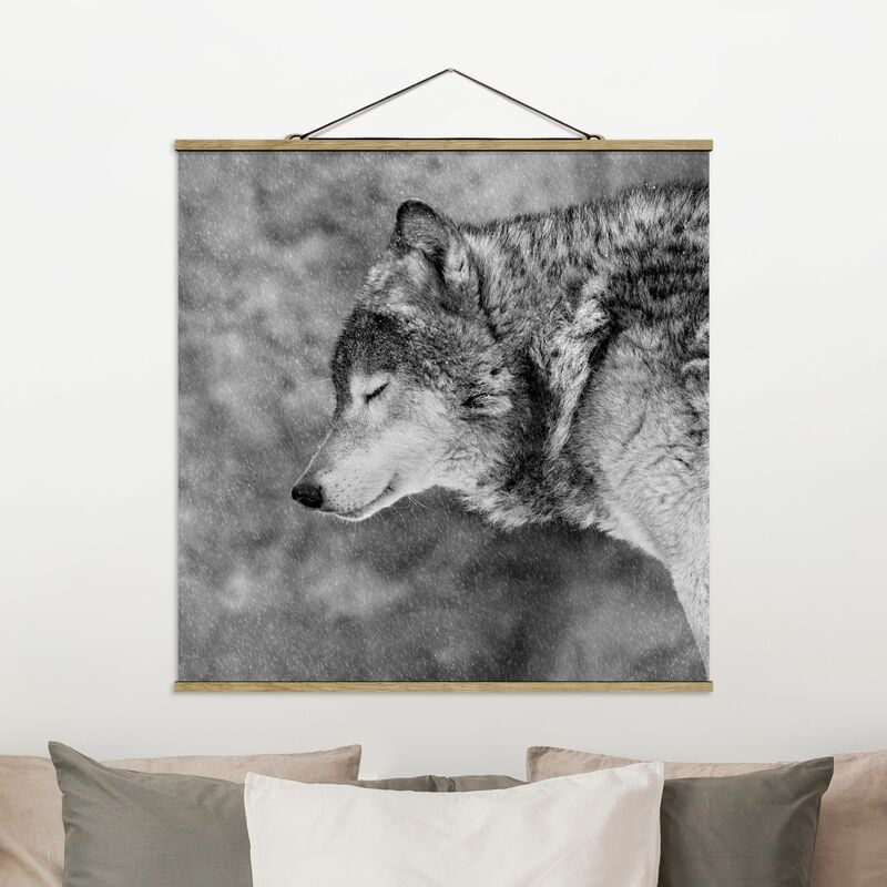

Imagen de tela - Winter Wolf - Cuadrado 1:1 Dimensión LxA: 100cm x 100cm