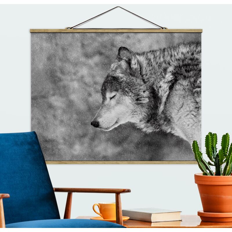 

Imagen de tela - Winter Wolf - Apaisado 3:4 Dimensión LxA: 60cm x 80cm