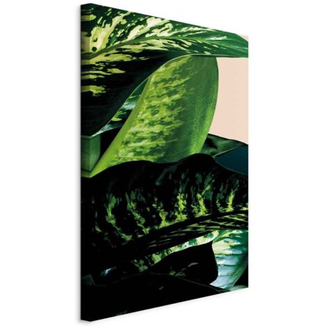 Imagen - Dieffenbachia (1 parte) vertical